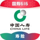 半梦情侣主黄金